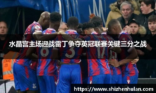水晶宫主场迎战雷丁争夺英冠联赛关键三分之战