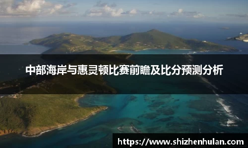 中部海岸与惠灵顿比赛前瞻及比分预测分析