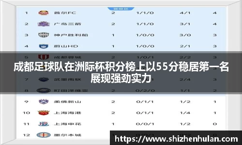 成都足球队在洲际杯积分榜上以55分稳居第一名展现强劲实力